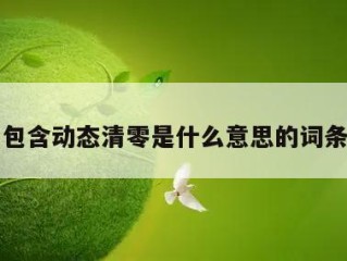 包含动态清零是什么意思的词条
