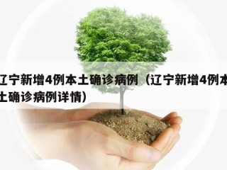 辽宁新增4例本土确诊病例（辽宁新增4例本土确诊病例详情）