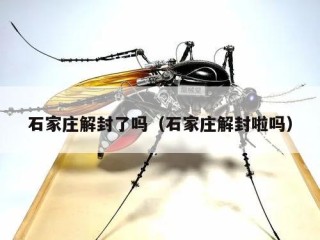 石家庄解封了吗（石家庄解封啦吗）