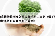 做完核酸检测多久可以在手机上查到（做了核酸检多久可以在手机上查到）